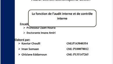 La fonction de l’audit interne et de contrôle interne